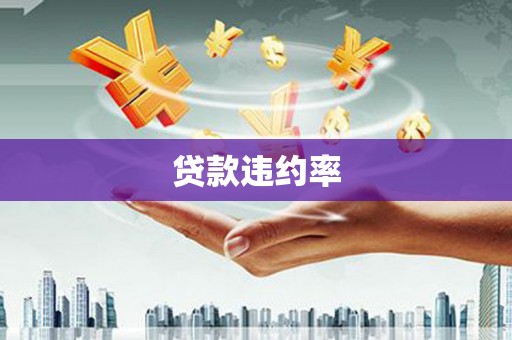 宝坻贷款违约率