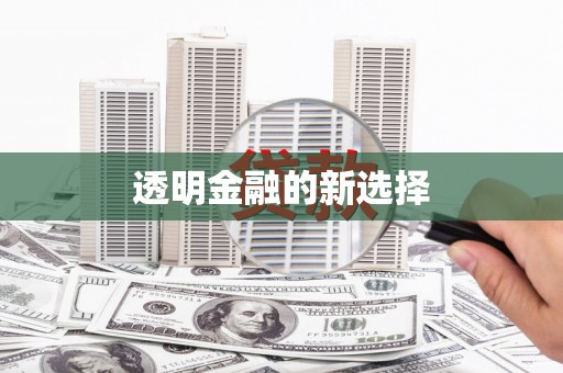 崇左透明金融的新选择