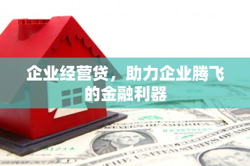 固阳企业经营贷，助力企业腾飞的金融利器