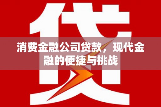 芦洲消费金融公司贷款，现代金融的便捷与挑战