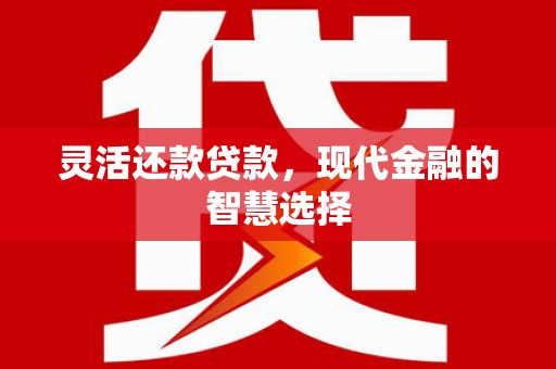 龙崎灵活还款贷款，现代金融的智慧选择