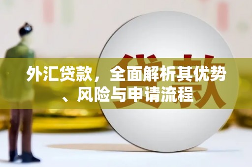 长顺外汇贷款，全面解析其优势、风险与申请流程