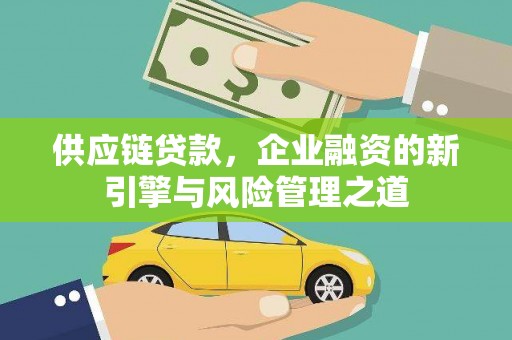 海安供应链贷款，企业融资的新引擎与风险管理之道