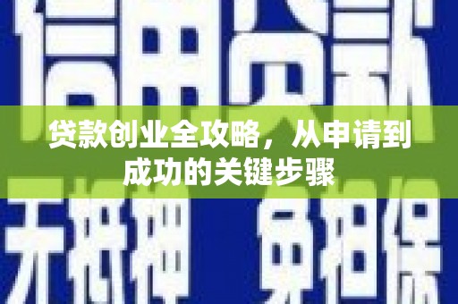 分宜贷款创业全攻略，从申请到成功的关键步骤