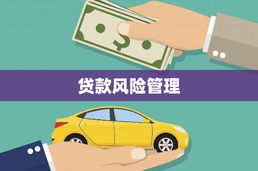 吴桥贷款风险管理