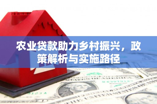 徐州农业贷款助力乡村振兴，政策解析与实施路径