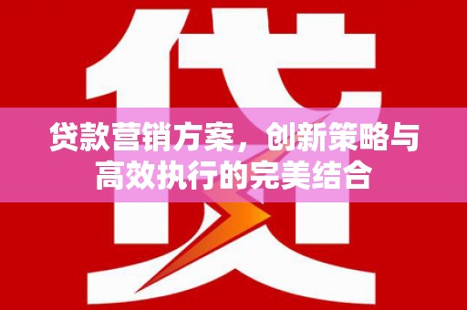 阜康贷款营销方案，创新策略与高效执行的完美结合