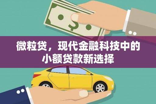 通山微粒贷，现代金融科技中的小额贷款新选择