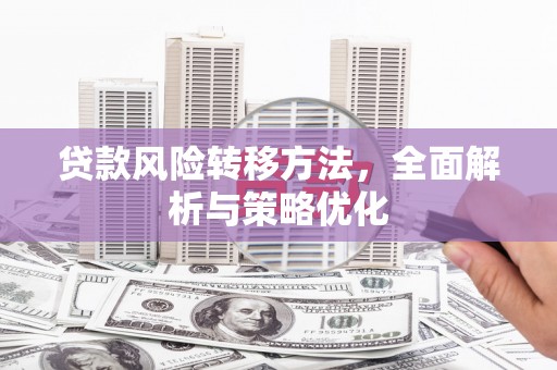 右江贷款风险转移方法，全面解析与策略优化