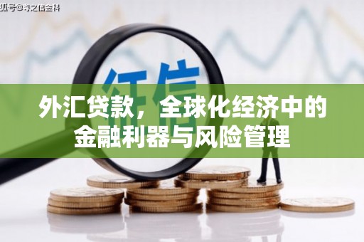 秦皇岛外汇贷款，全球化经济中的金融利器与风险管理