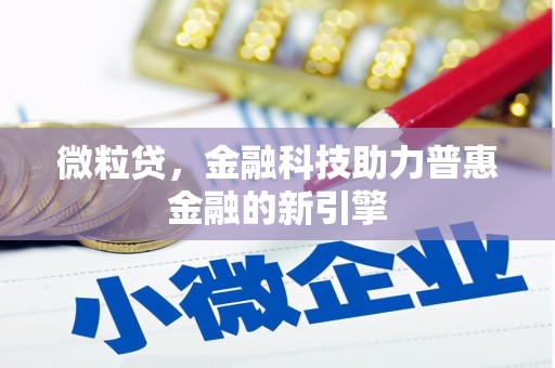 玛家微粒贷，金融科技助力普惠金融的新引擎