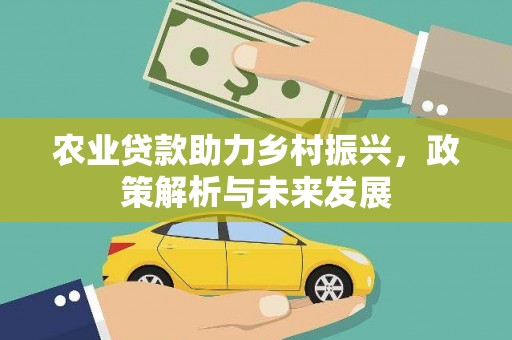 长安农业贷款助力乡村振兴，政策解析与未来发展