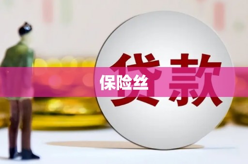 海原保险丝