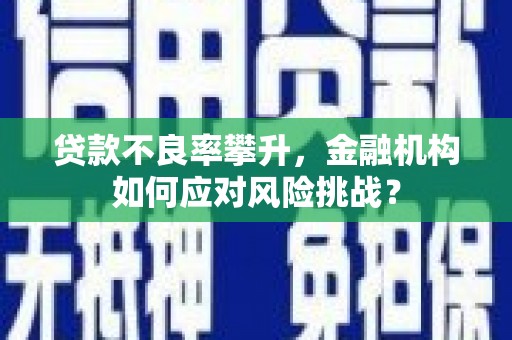 平乡贷款不良率攀升，金融机构如何应对风险挑战？