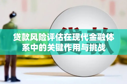 新会贷款风险评估在现代金融体系中的关键作用与挑战