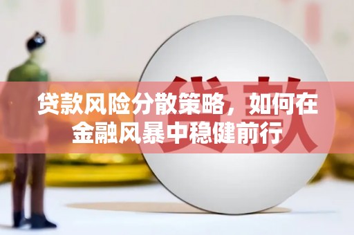 林芝贷款风险分散策略，如何在金融风暴中稳健前行