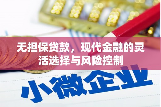 肃南无担保贷款，现代金融的灵活选择与风险控制