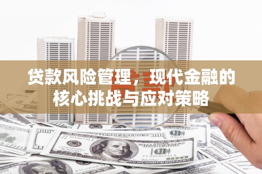 文安贷款风险管理，现代金融的核心挑战与应对策略