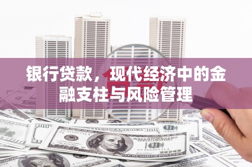 西秀银行贷款，现代经济中的金融支柱与风险管理
