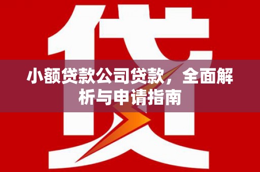 阿克塞小额贷款公司贷款，全面解析与申请指南