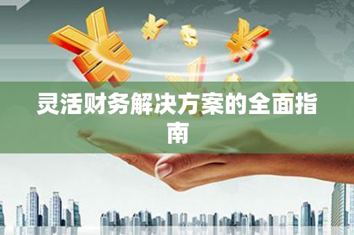 海城灵活财务解决方案的全面指南