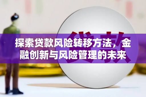 台西探索贷款风险转移方法，金融创新与风险管理的未来