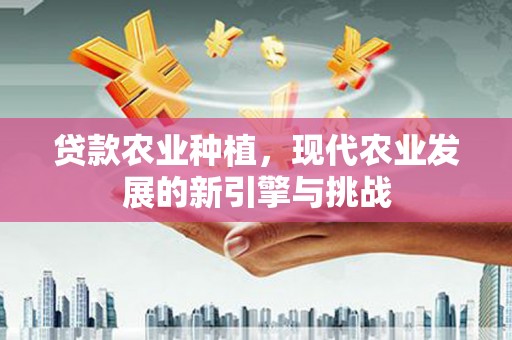 中埔贷款农业种植，现代农业发展的新引擎与挑战