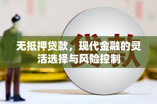 连平无抵押贷款，现代金融的灵活选择与风险控制
