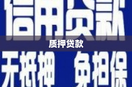 昌吉质押贷款