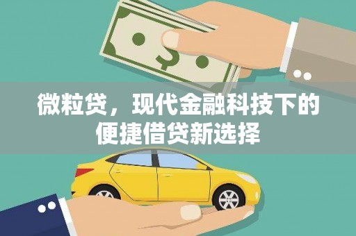 柳东微粒贷，现代金融科技下的便捷借贷新选择