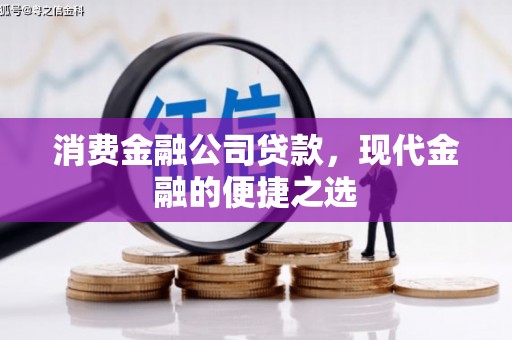 花莲消费金融公司贷款，现代金融的便捷之选