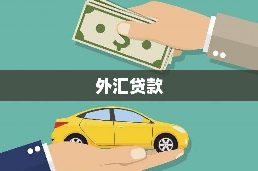 新乡外汇贷款