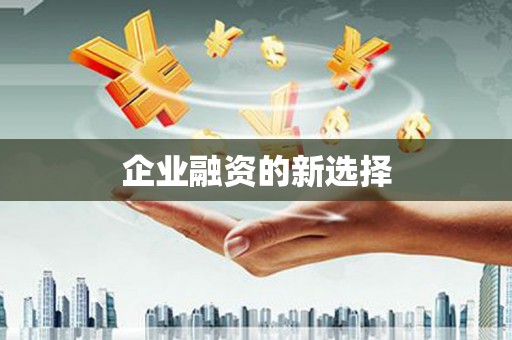 望奎企业融资的新选择