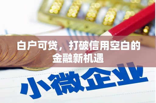 马边白户可贷，打破信用空白的金融新机遇