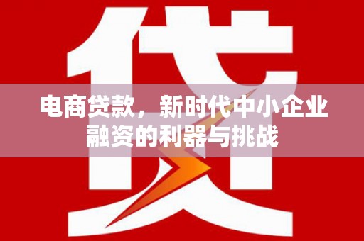 华宁电商贷款，新时代中小企业融资的利器与挑战