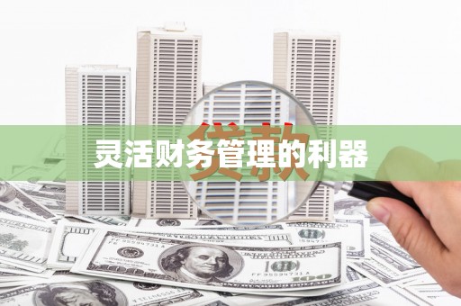 犍为灵活财务管理的利器