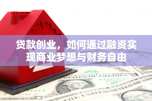 新蔡贷款创业，如何通过融资实现商业梦想与财务自由