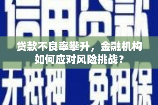 沂源贷款不良率攀升，金融机构如何应对风险挑战？