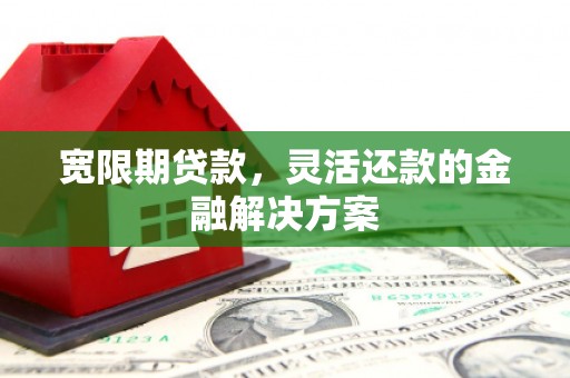 燕巢宽限期贷款，灵活还款的金融解决方案