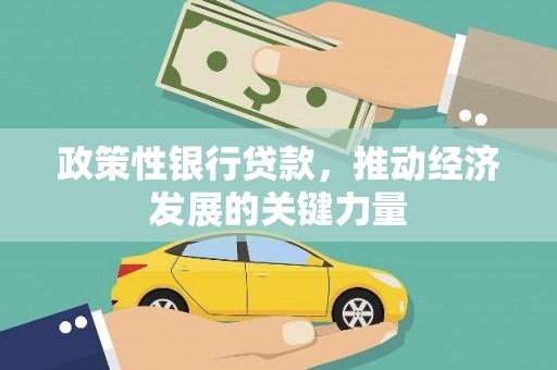 项城政策性银行贷款，推动经济发展的关键力量