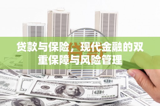 滨城贷款与保险，现代金融的双重保障与风险管理
