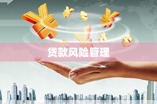 胶州贷款风险管理