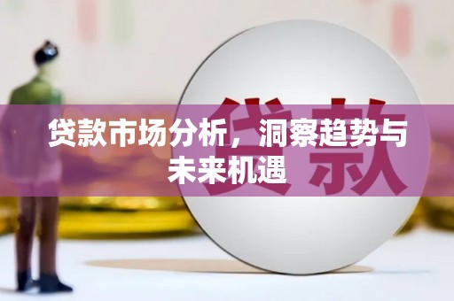 和平贷款市场分析，洞察趋势与未来机遇