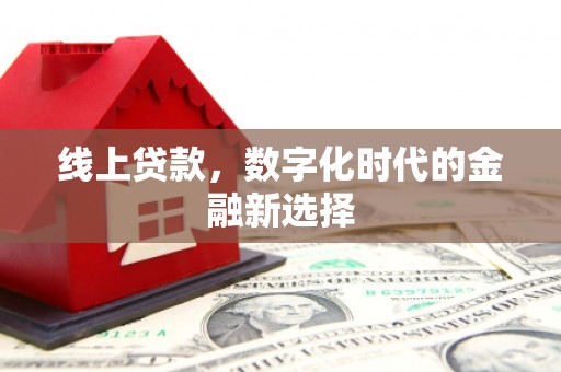 贵定线上贷款，数字化时代的金融新选择