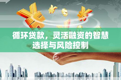 新竹循环贷款，灵活融资的智慧选择与风险控制