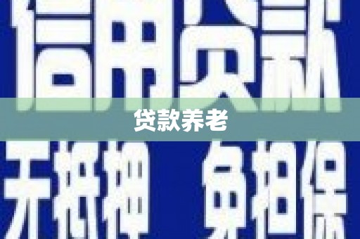 葫芦岛贷款养老