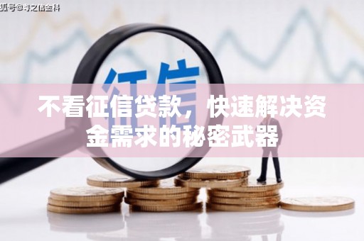 莱城不看征信贷款，快速解决资金需求的秘密武器