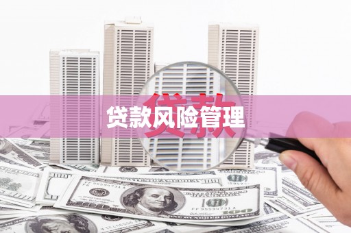 柳林贷款风险管理