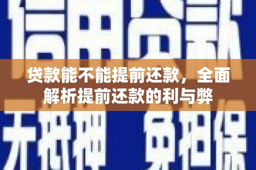 隆安贷款能不能提前还款，全面解析提前还款的利与弊