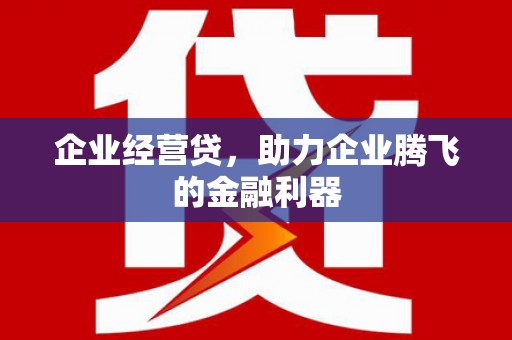 陇南企业经营贷，助力企业腾飞的金融利器